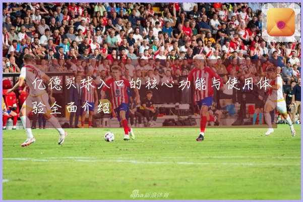 亿德买球入口的核心功能与使用体验全面介绍