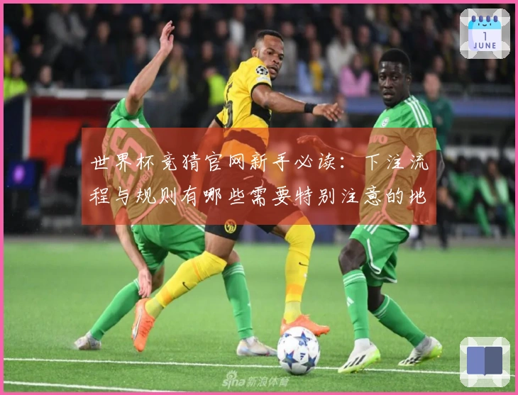 世界杯竞猜官网新手必读：下注流程与规则有哪些需要特别注意的地方