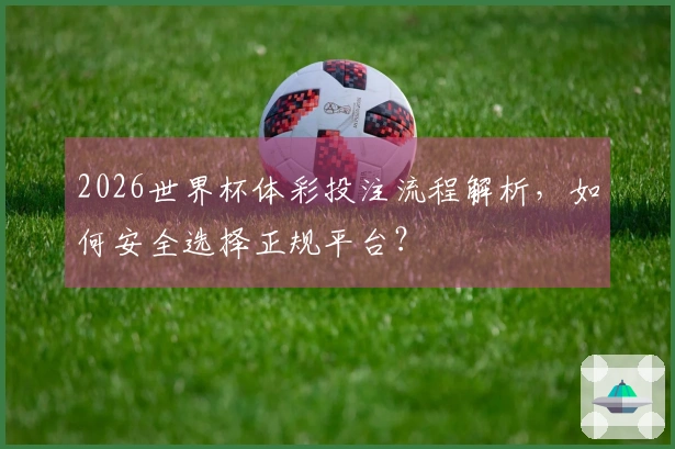 2026世界杯体彩投注流程解析，如何安全选择正规平台？