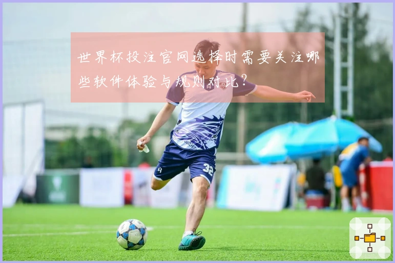 世界杯投注官网选择时需要关注哪些软件体验与规则对比？