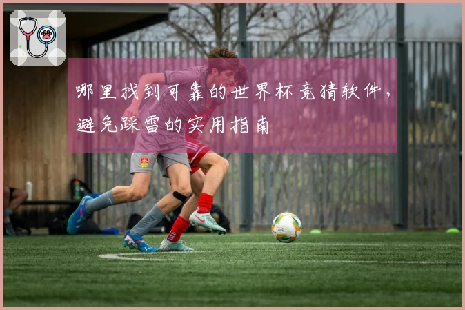 哪里找到可靠的世界杯竞猜软件，避免踩雷的实用指南