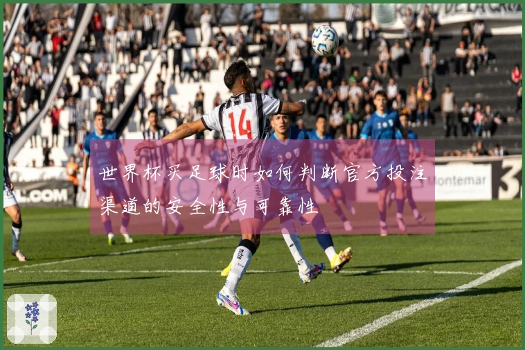 世界杯买足球时如何判断官方投注渠道的安全性与可靠性