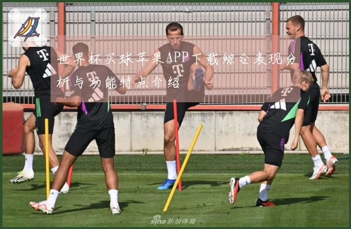 世界杯买球苹果APP下载综合表现分析与功能特点介绍