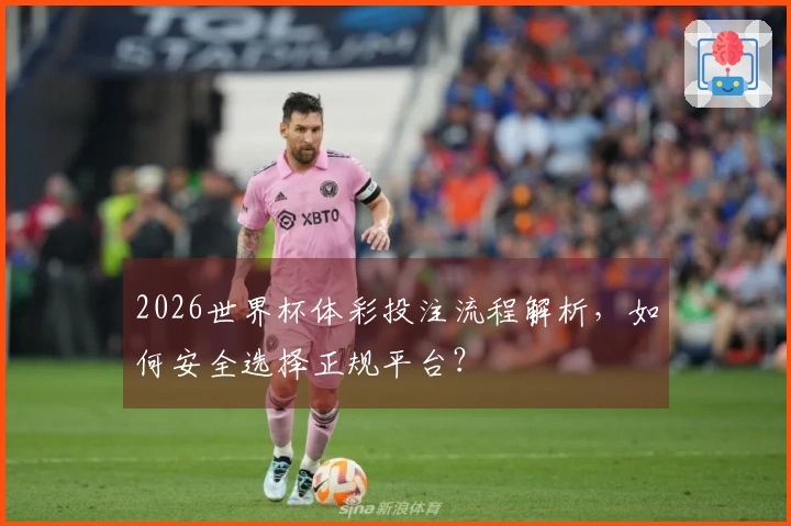 2026世界杯体彩投注流程解析，如何安全选择正规平台？