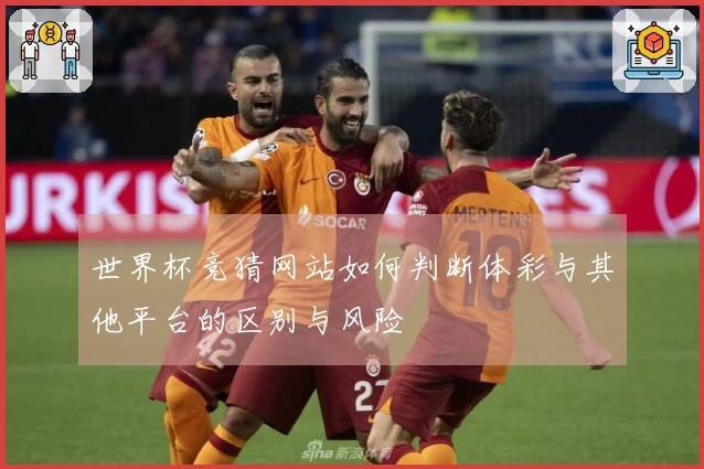 世界杯竞猜网站如何判断体彩与其他平台的区别与风险