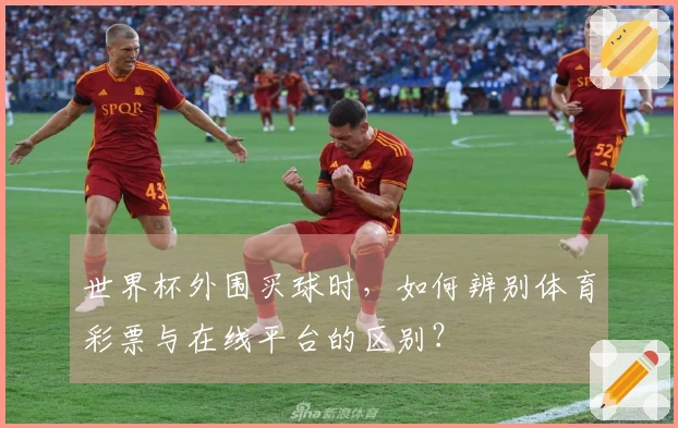 世界杯外围买球时，如何辨别体育彩票与在线平台的区别？