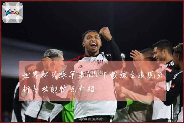 世界杯买球苹果APP下载综合表现分析与功能特点介绍