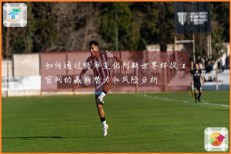 如何通过赔率变化判断世界杯投注官网的赢利潜力和风险分析