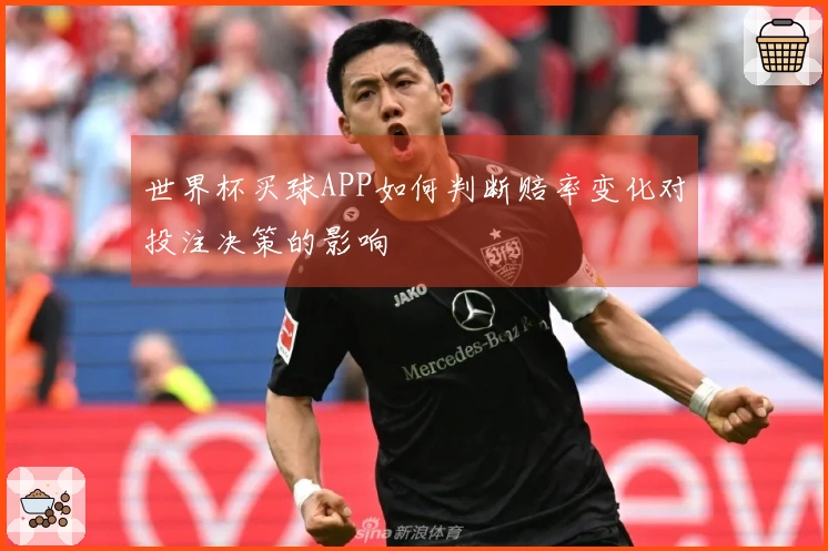 世界杯买球APP如何判断赔率变化对投注决策的影响