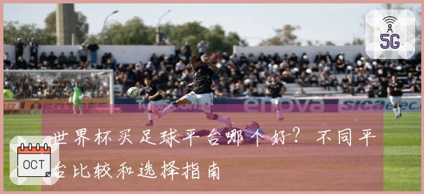世界杯买足球平台哪个好？不同平台比较和选择指南